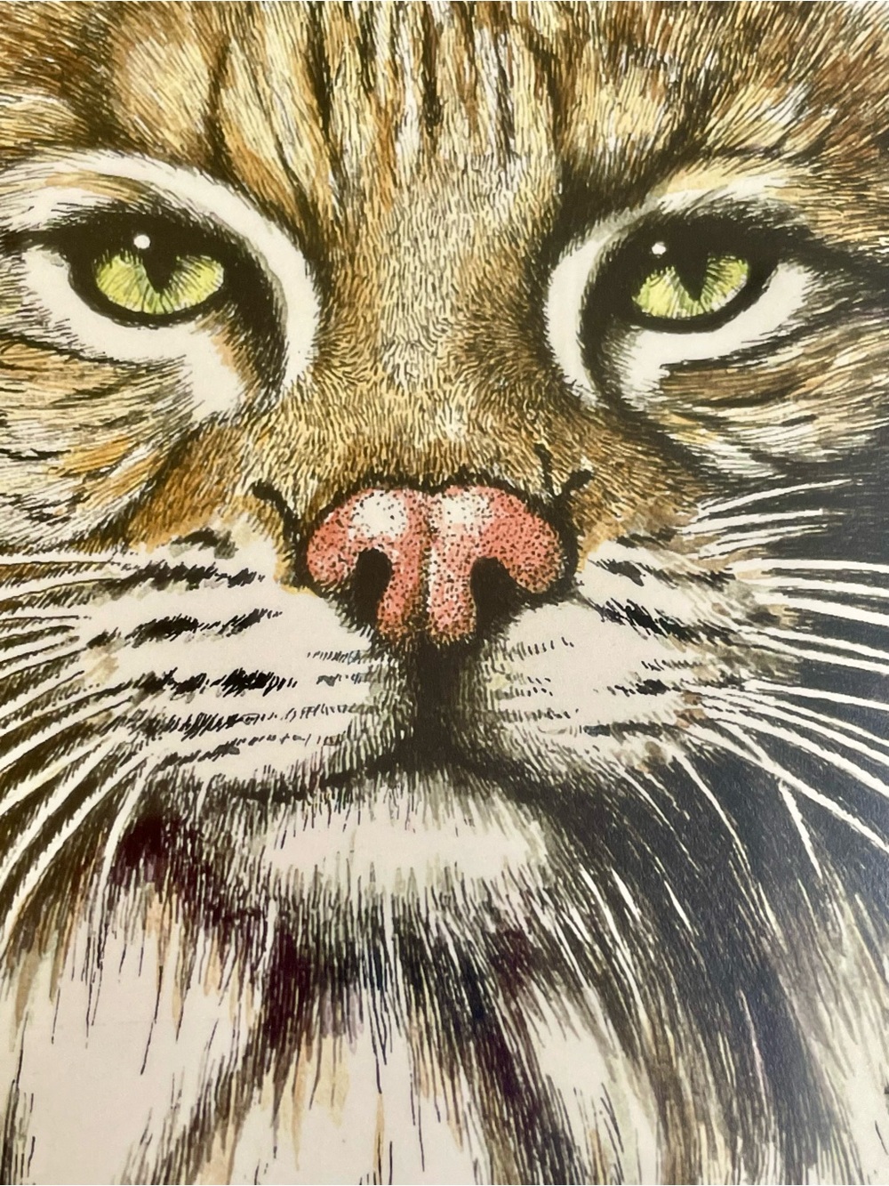 M. Harvey Bobcat Framed Matted Art Print Pen &Ink Wild Cat Gift Wildlife Realism